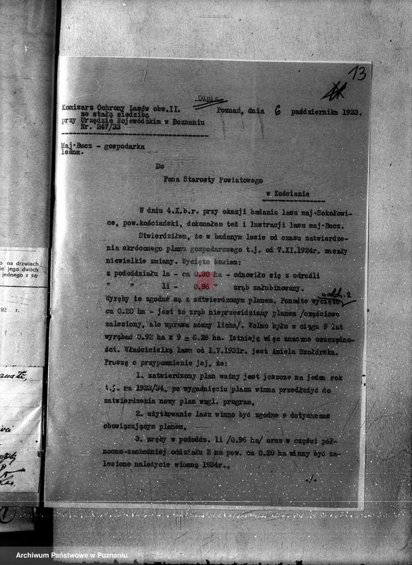 Obraz 17 z jednostki "Nadzór nad gospodarką w lasach majętności Bucz powiat kościański"