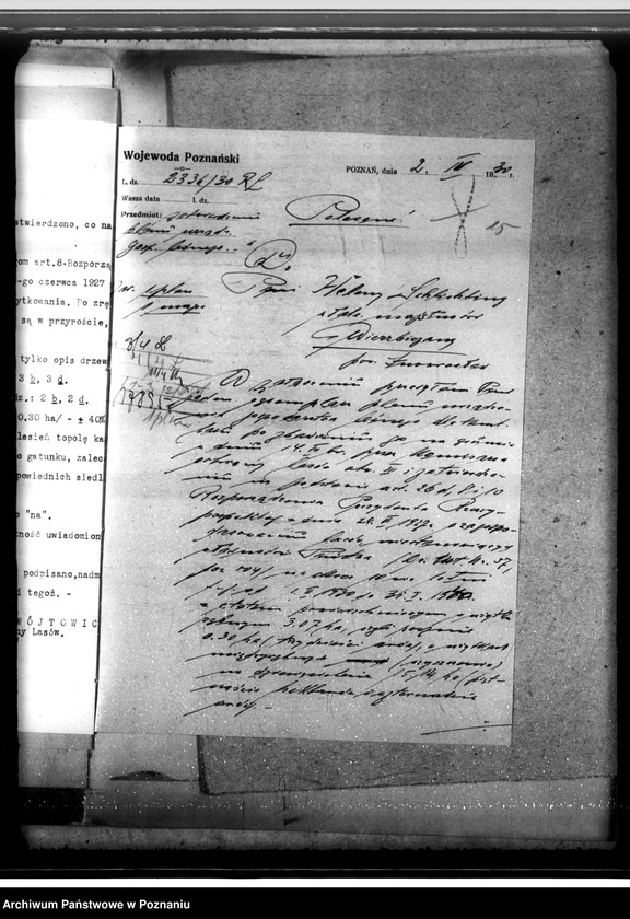 Obraz 19 z jednostki "Las majętności Wierzbiczany w powiecie inowrocławskim"