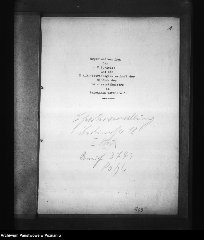 Obraz 5 z jednostki "Organizacja komórek partii NSDAP oraz Deutsche Arbeitsfront w urzędzie namiestnika raju Warty"