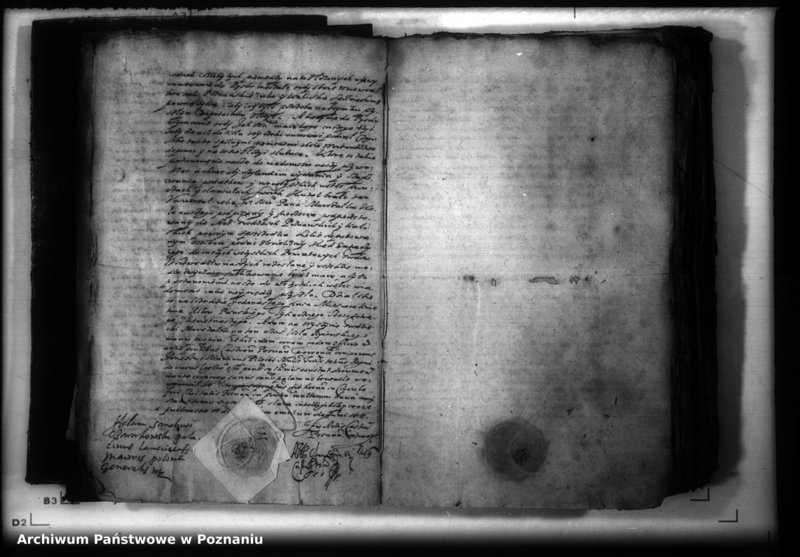 Obraz 6 z jednostki "Lauda [acticantia]"