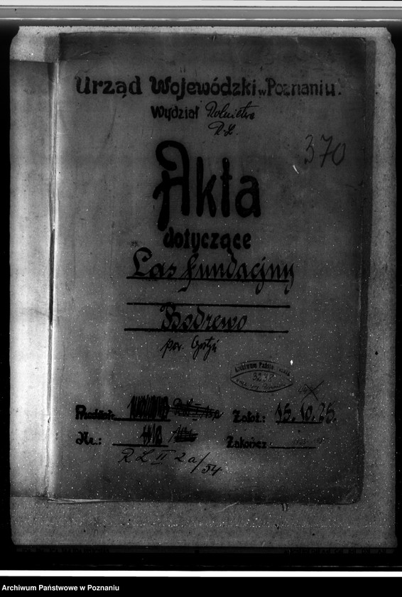 Obraz 4 z jednostki "Las fundacyjny Bodzewo w powiecie gostyńskim"