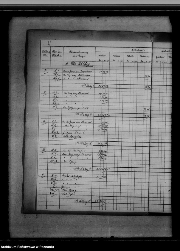 Obraz 6 z jednostki "Vermessungsregister von der Königlichen Domäne Kunowo"