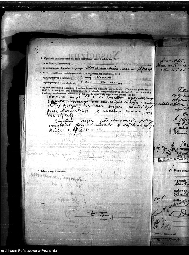 Obraz 13 z jednostki "Nosacizna - Działdowo"