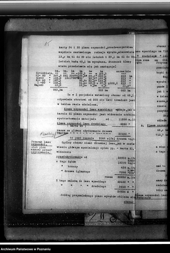 Obraz 19 z jednostki "Majętność /leśna/ Pępowo w powiecie gostyńskim"