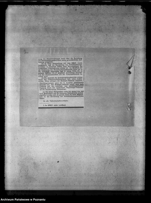 Obraz 6 z jednostki "Freibankfleisch. Notschlachtungen"