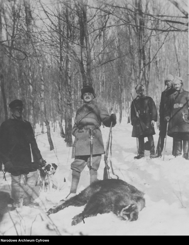 Obraz 1 z jednostki "Polowanie na dziki w majątku hrabiego Adama Zamoyskiego "