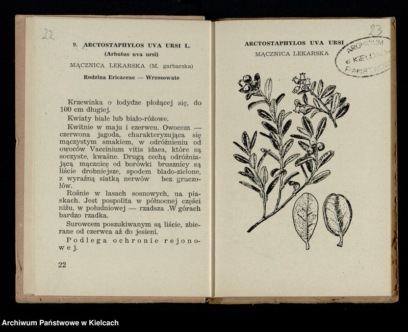 image.from.collection.number "Rośliny lecznicze111"