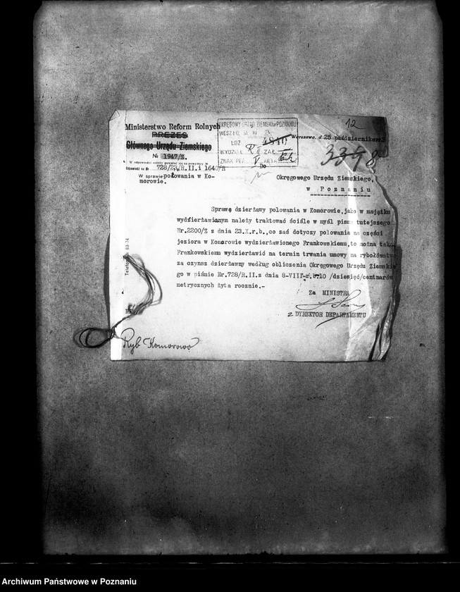 Obraz 17 z jednostki "Polowanie na jeziorze Bytyńskim Komorowo-Gorzewice"