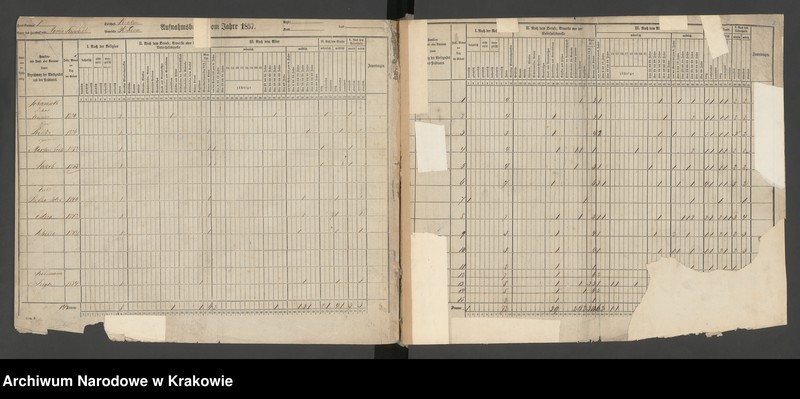 Obraz z jednostki "Spis ludności 1857, Dz.VI, nr 1-302, T. 10"