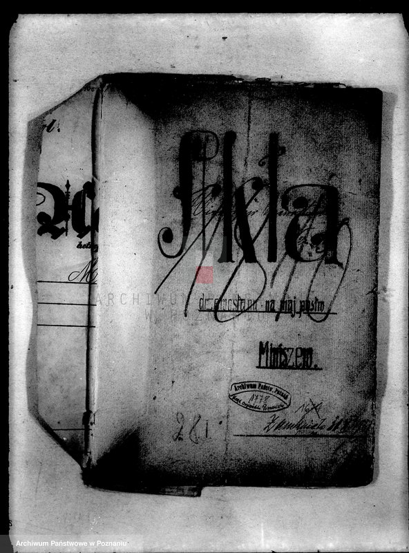 Obraz 4 z jednostki "Drzewostan w majętności państwowej Miniszew"