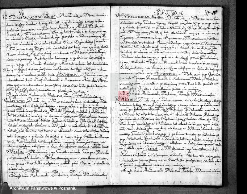 Obraz 20 z jednostki "Akta urodzonych, zaślubionych i zmarłych"