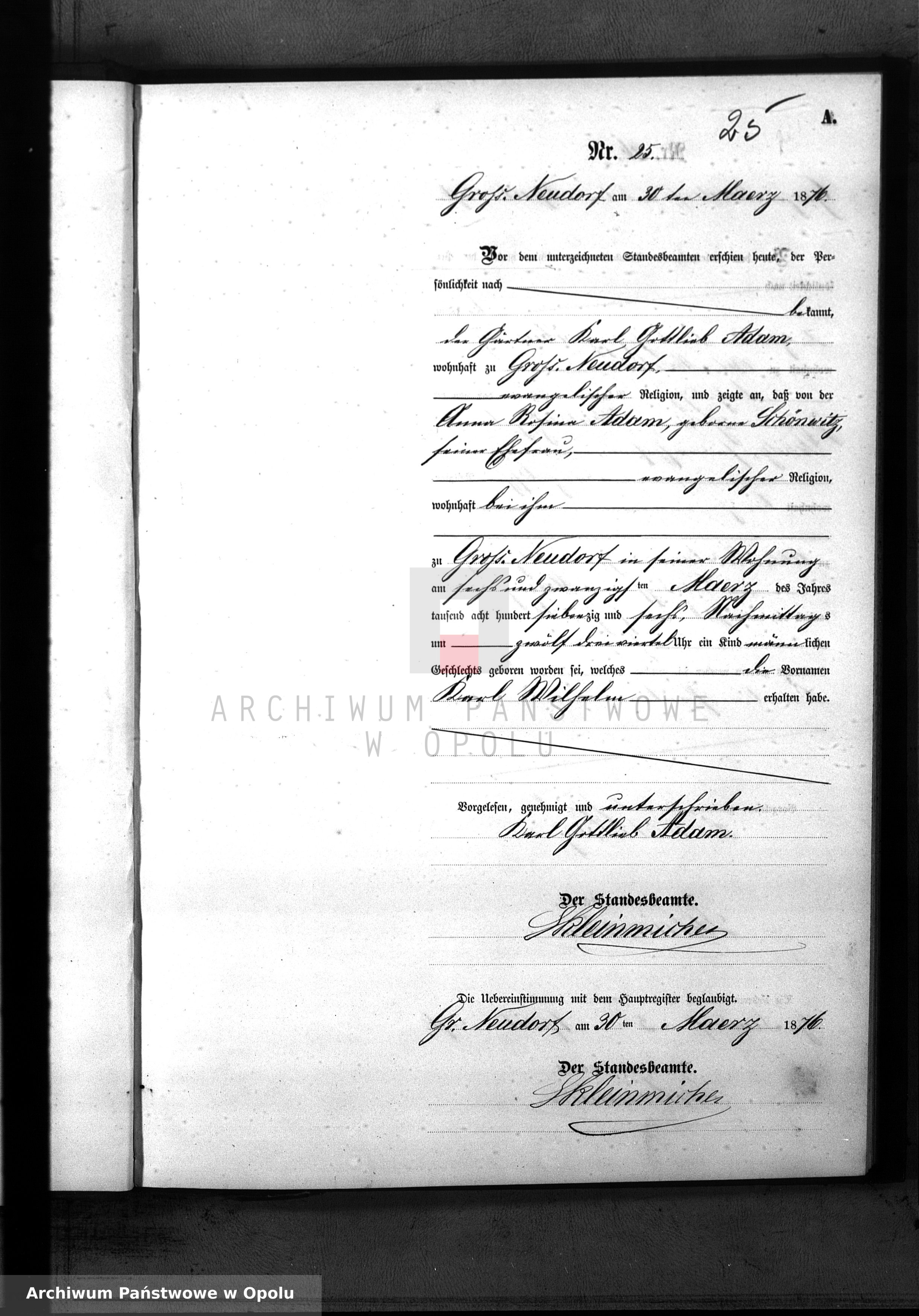 Skan z jednostki: Geburts-Neben-Register Standesamt Gross Neudorf 1876