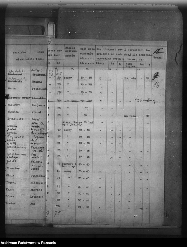 Obraz 20 z jednostki "Lasy do 30 ha na terenie powiatu poznańskiego"