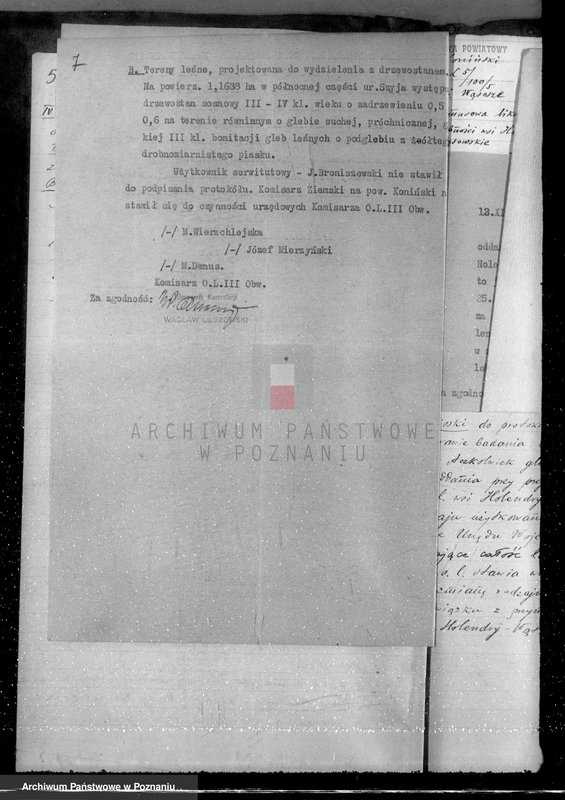 Obraz 12 z jednostki "Sprawa przymusowej likwidacji służebności osady nr 7 Holendry Wąsowskie w lasach majątku Wąsosze /powiat koniński/ oraz nieprawnego wyrębu"