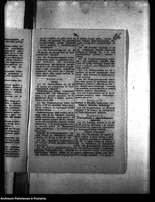 Obraz 20 z jednostki "Ubój zwierząt rzeźnych"