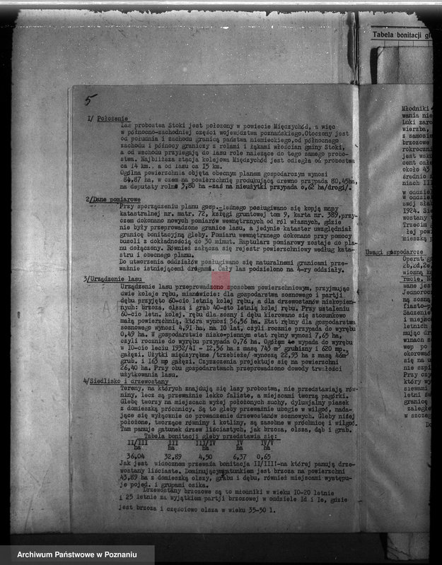 Obraz 9 z jednostki "Probostwo Stoki" powiat międzychodzki plan urządzenia gospodarstwa leśnego"