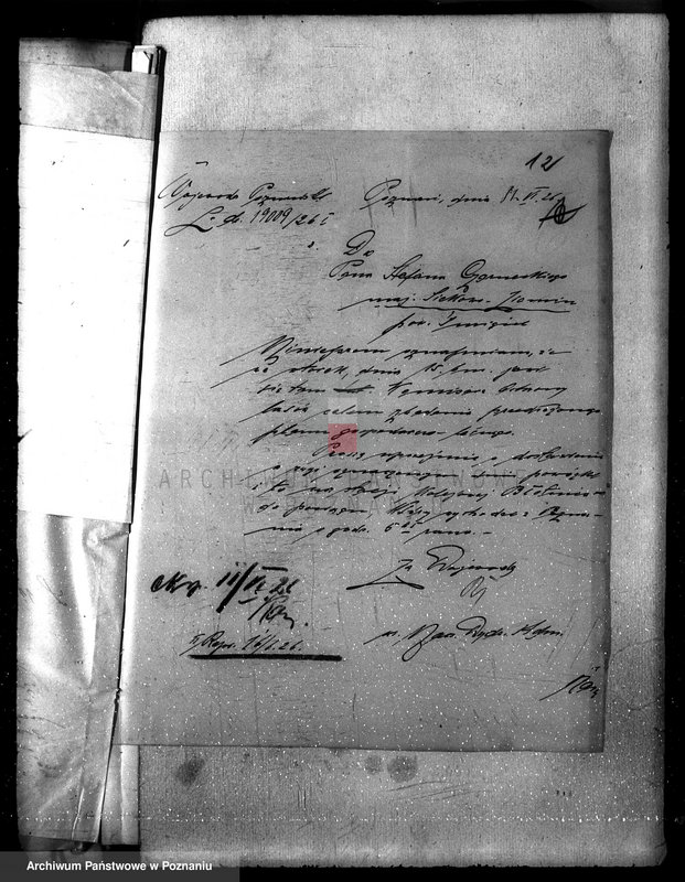 Obraz 16 z jednostki "Majętność leśna /Siekówko/ powiat kościański"