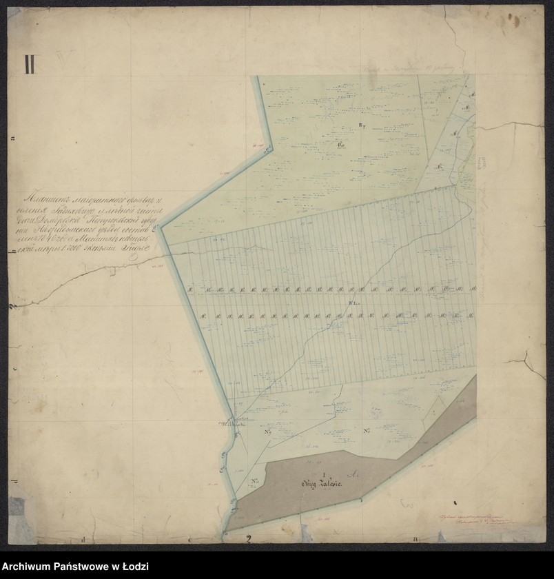 Obraz 9 z jednostki "Pieroworys Urządzenia Majoratu Radziechowice składający się z folwarków Radziechowice i Dąbrówka, Kolonii Radziechowice Brodowe i Dąbrowka, osady Czerkowizna, młyna Klekot oraz lasów przyległych ..."