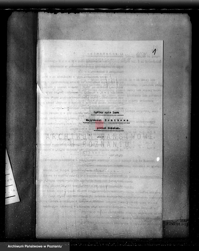 Obraz 5 z jednostki "Plan urządzania gospodarstwa leśnego dla lasu majętności Bonikowo - powiat kościański"