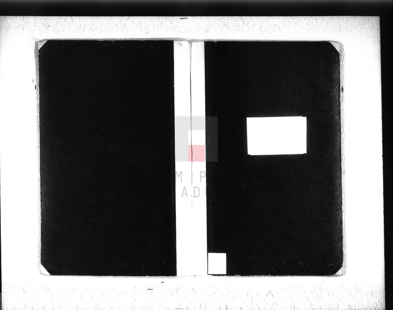 Obraz 3 z jednostki "[Duplikat akt urodzonych, zaślubionych i zmarłych parafii Wyśmierzyce z 1875 roku]"