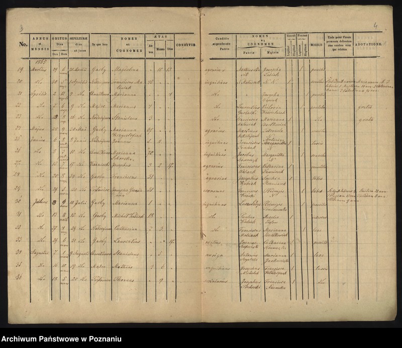 image.from.unit.number "Duplicatus ex libris mortuorum"
