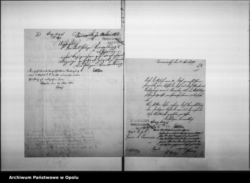 Obraz 20 z jednostki "Acta des Magistrats zu Oppeln betreffend den Wein- u.[nd] Bier-Ausschank im Siwinna