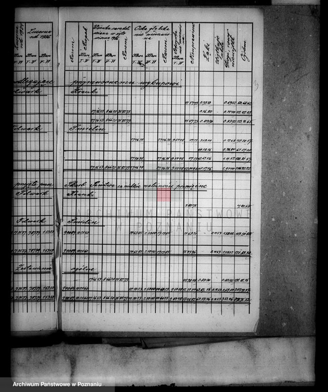 Obraz 7 z jednostki "Obliczenie majątku Samostrzel powiatu wyrzyskiego rejestr upraw i zasiewów"