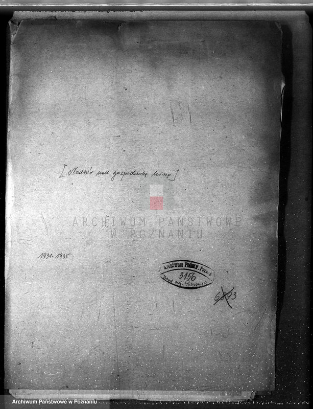 Obraz 4 z jednostki "/Nadzór nad gospodarką leśną sprawy ogólne/"