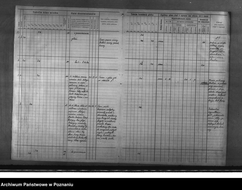 Obraz 12 z jednostki "Program urządzenia gospodarstwa leśnego dla lasu majętności Glinno powiat poznański 1928-1938"
