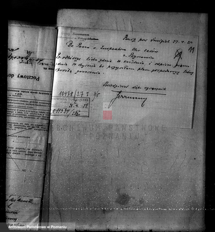 Obraz 15 z jednostki "Nadzór nad gospodarką w lasach majętności Bucz powiat kościański"