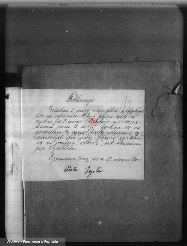 Obraz 16 z jednostki "Zalesienie nieużytków w powiecie poznańskim"