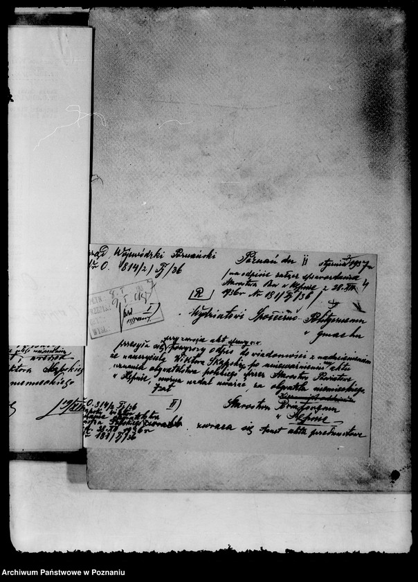 Obraz 8 z jednostki "/Sprawy obywatelstwa/"