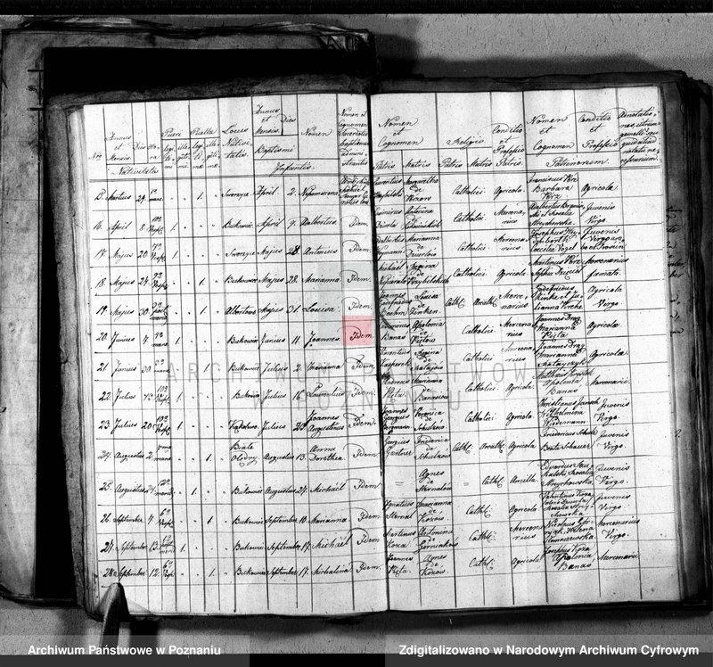 image.from.unit.number "Liber baptisatorum, copulatorum, mortuorum"