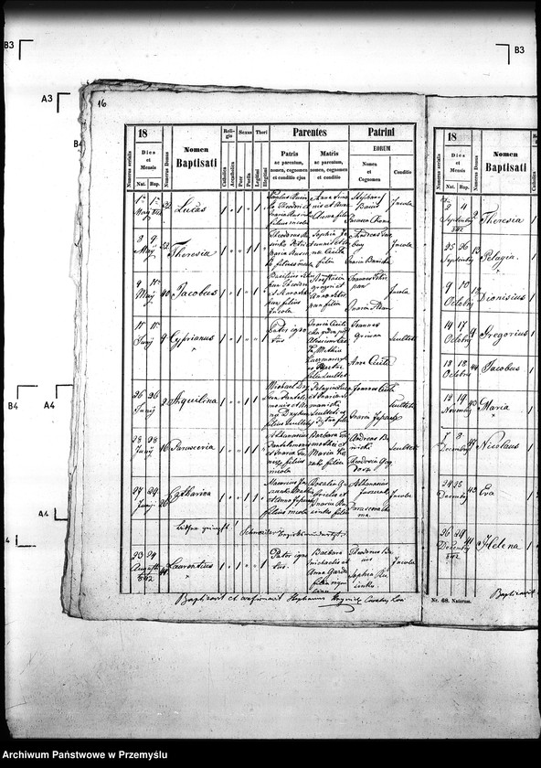 Obraz 20 z jednostki "[Kopie ksiąg metrykalnych parafii Małastów z filiami Ropica Ruska, Pętna (dekanat Gorlice)]"