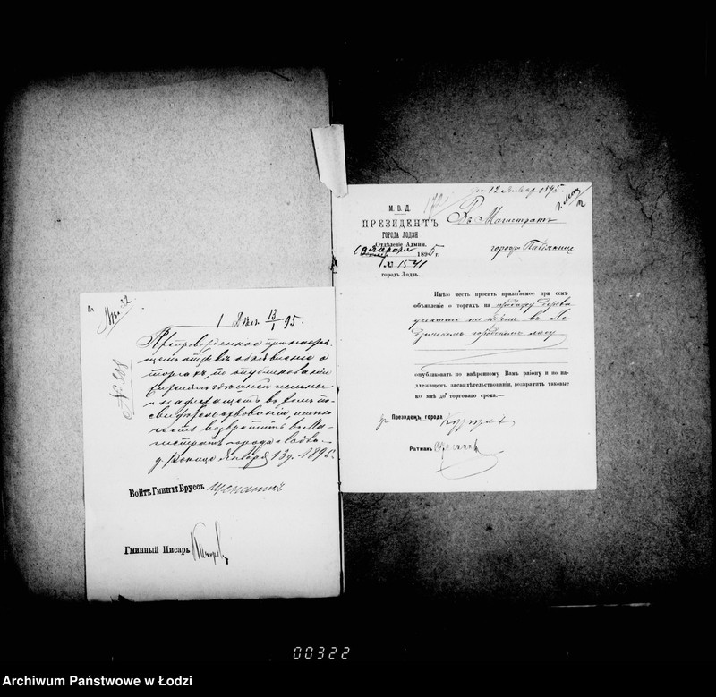 Obraz 15 z jednostki "O prodaže usochšago po korne dereva v lodzinskich gorodskich lesach v 1894 g. i 1895 gg"