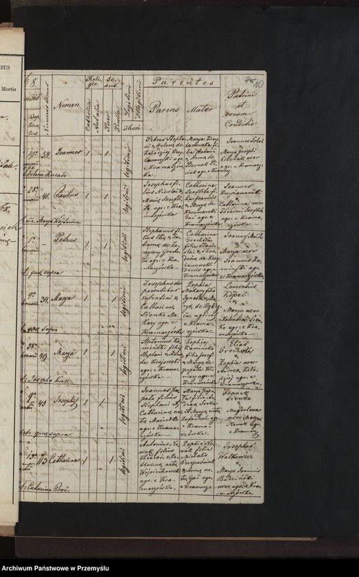 Obraz 13 z jednostki "[Kopie ksiąg metrykalnych parafii Kramarzówka (dekanat Pruchnik) za lata 1867-1878]"