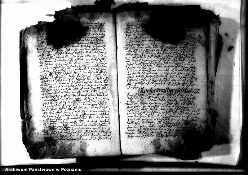 Obraz 19 z jednostki "Decreta officii [inducta]"