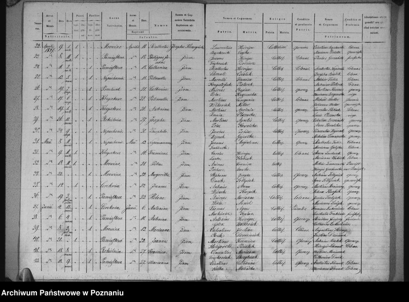 image.from.unit.number "Liber baptisatorum"