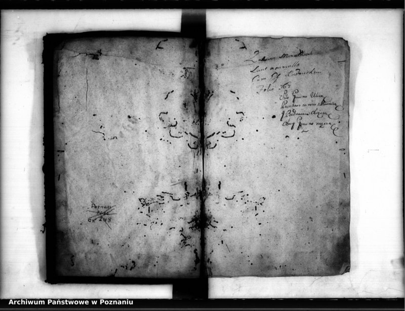 Obraz 4 z jednostki "Inscriptiones [inducta]"