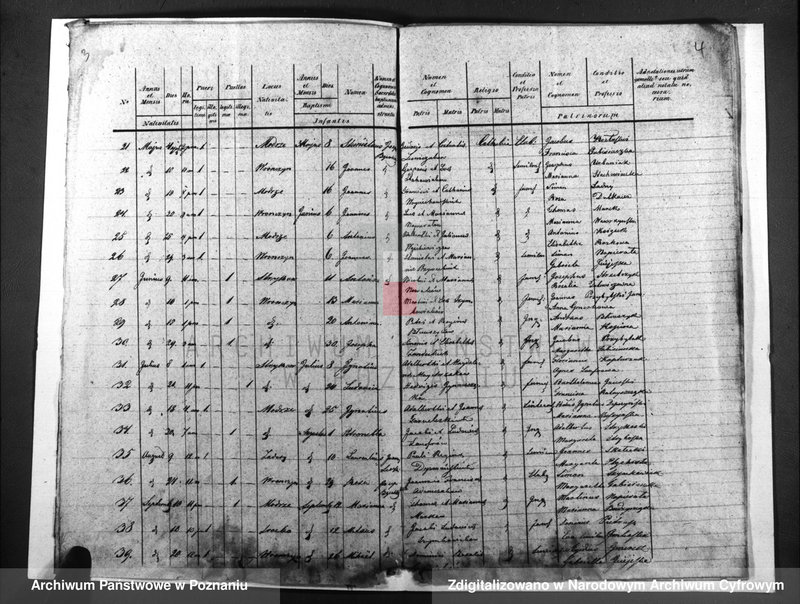 image.from.unit.number "Duplicatus baptisatorum, copulatorum, mortuorum"