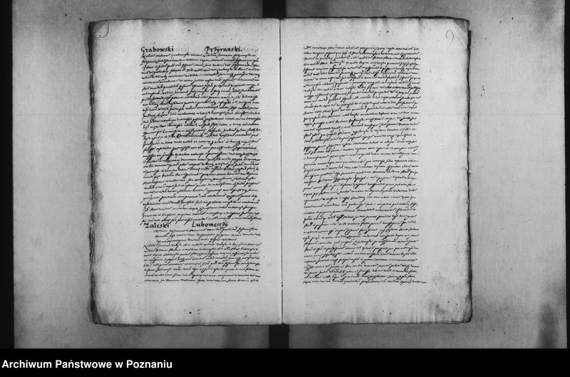 Obraz 12 z jednostki "Decreta [inducta]"