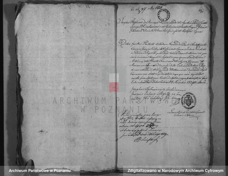 Obraz 16 z jednostki "Duplikat aktów urodzeń, małżeństw i zejścia"