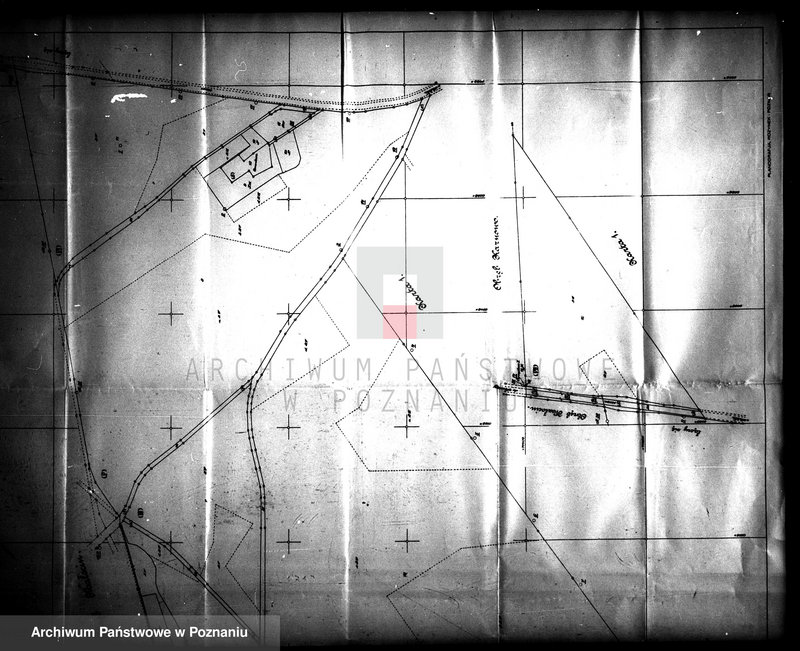 Obraz 5 z jednostki "Majątek Chrząstowo powiatu wyrzyskiego polowanie"