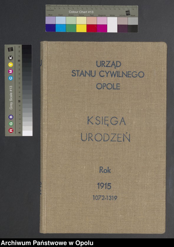 image.from.unit.number "[Księga urodzeń]  Rok 1915 Nr 1072-1319"