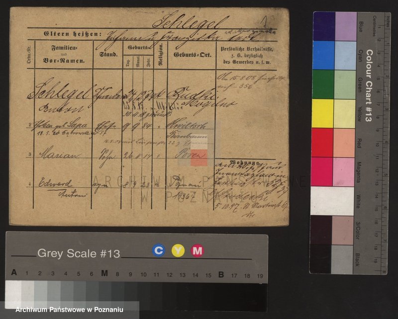 Obraz 5 z jednostki "Szlefer - Szliżewski"