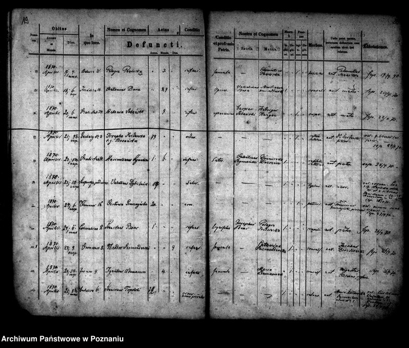 Obraz 11 z jednostki "Księga zgonów"