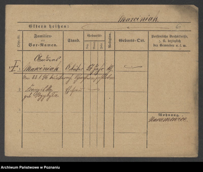 Obraz 8 z jednostki "Marciniak (żonaci i wdowy)"