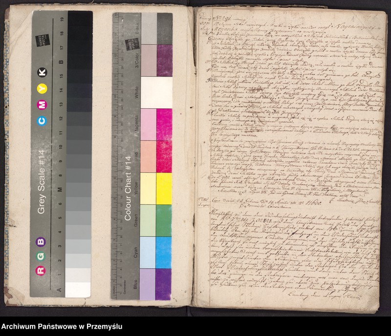 Obraz z jednostki "[Protokół zarządzeń; protokół czynności]"