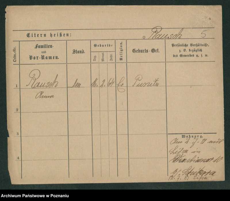 Obraz 7 z jednostki "Rausch - Reclik"