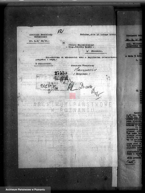 Obraz 17 z jednostki "Majętność /leśna/ Wilkowo Polskie powiat kościański"